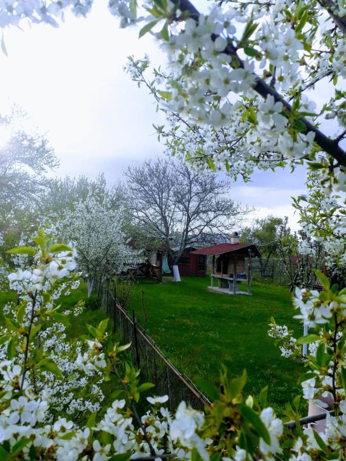 Casa Stely Hotel Rîşnov Kültér fotó